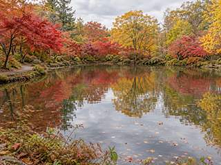 紅葉の湖畔をイメージしたAI生成画像
