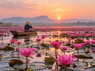 タイの睡蓮の湖をイメージしたAI生成画像
